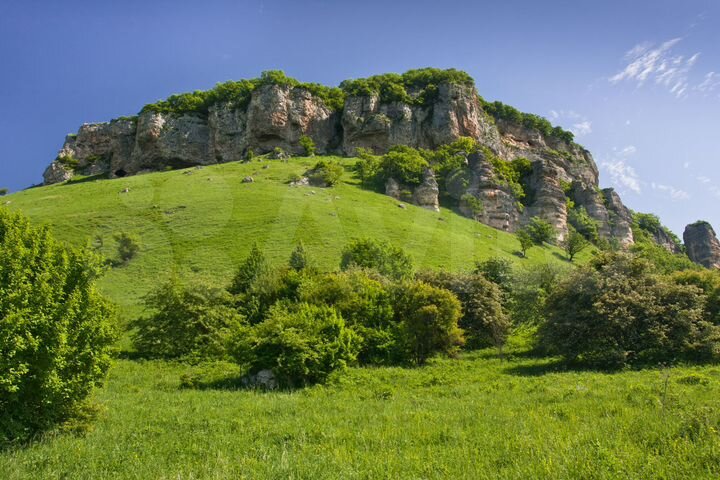 Участок 19,5 сот. (ИЖС)