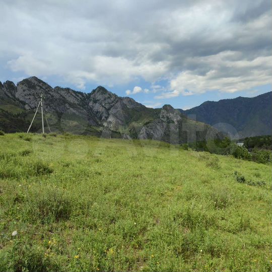 Участок 50 сот. (СНТ, ДНП)