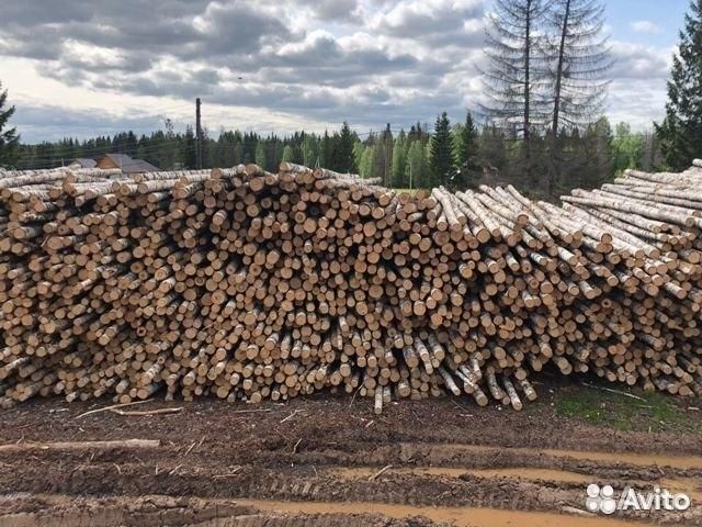 Дрова хлыстами