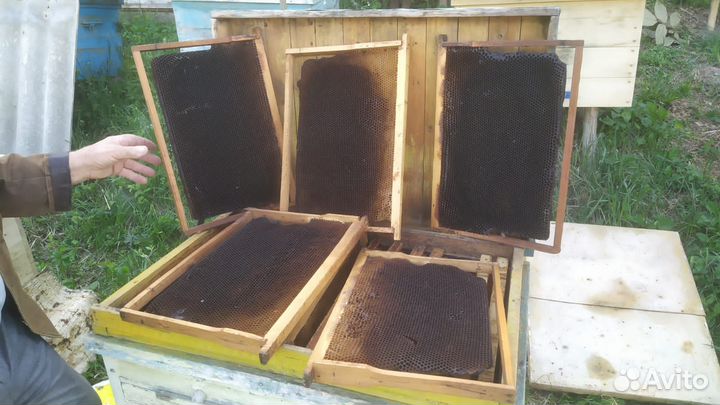 Пчеловодство