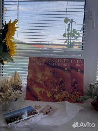 Paul mccartney виниловая пластинка