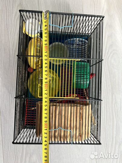 Клетка для джунгарского хомяка