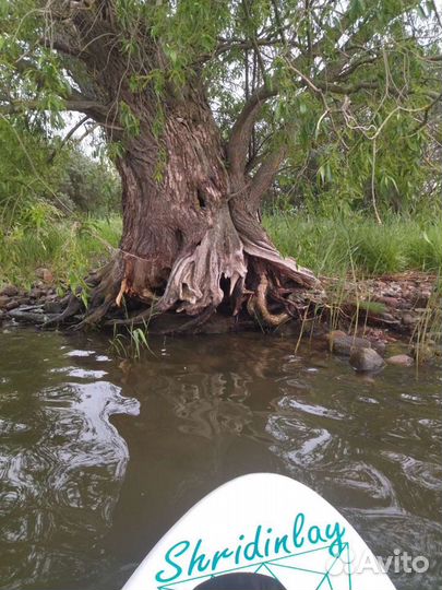 Sup board сап доска