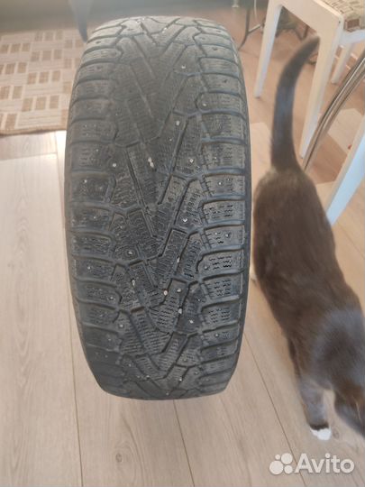 Firenza Nu Ice XT-01 20.5/55 R16 92