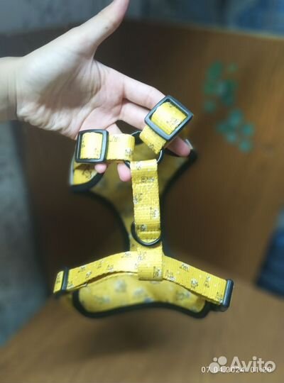 Комплект амуниции для собак