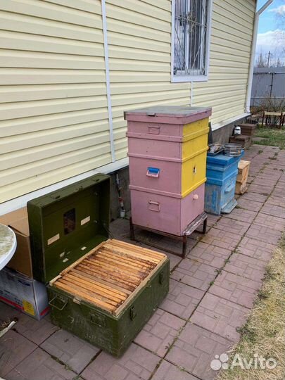 Улей Дадан 16