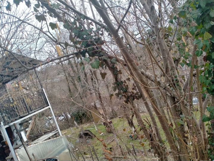 Дача 36 м² на участке 8 сот.