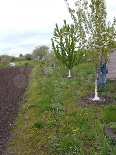 Участок 5,5 сот. (СНТ, ДНП)