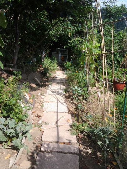 Участок 6 сот. (СНТ, ДНП)