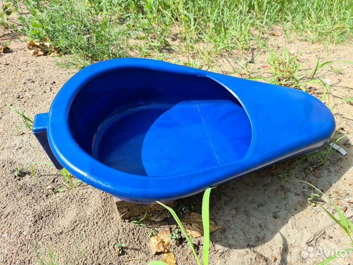 Утка медицинская