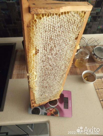 Мед разнотравье 2023