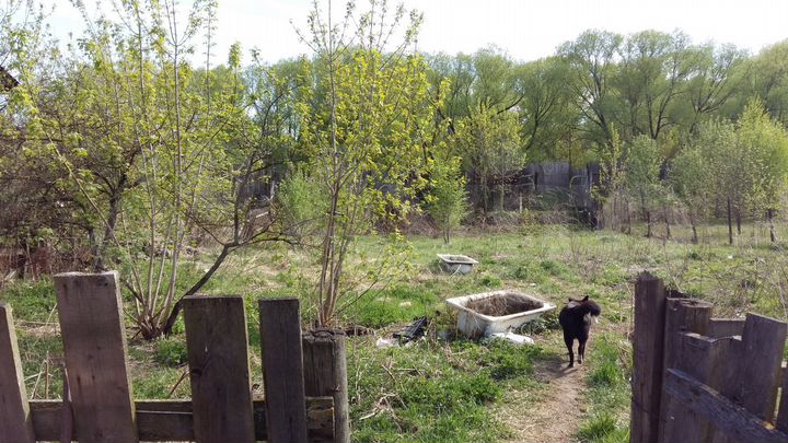 Участок 12 сот. (ИЖС)