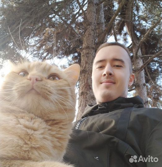 Репетитор по английскому языку онлайн