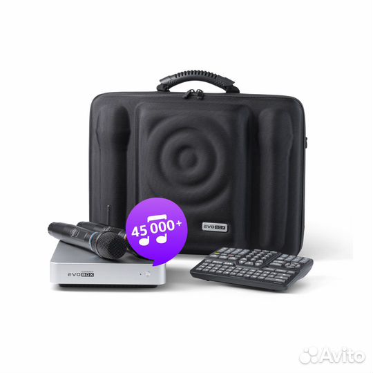 Караоке Evobox Plus Silver