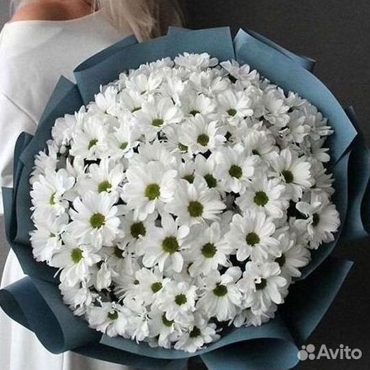 Хризантема. Букеты Цветы доставка