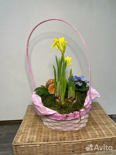 Композиция с нарциссами и примулой