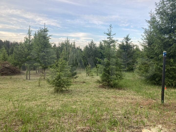 Участок 18,5 сот. (ИЖС)