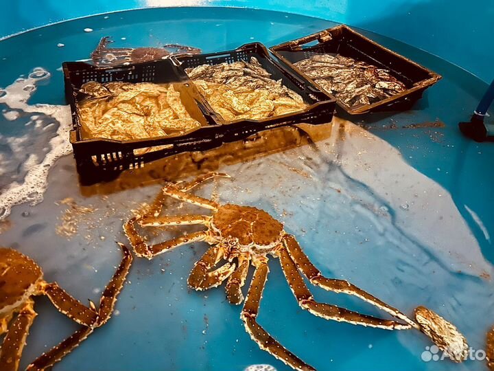 Морской аквариум