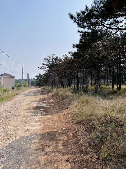 Участок 8,7 сот. (СНТ, ДНП)