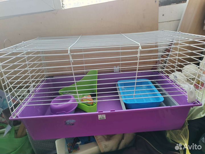 Клетка для декоративного кролика