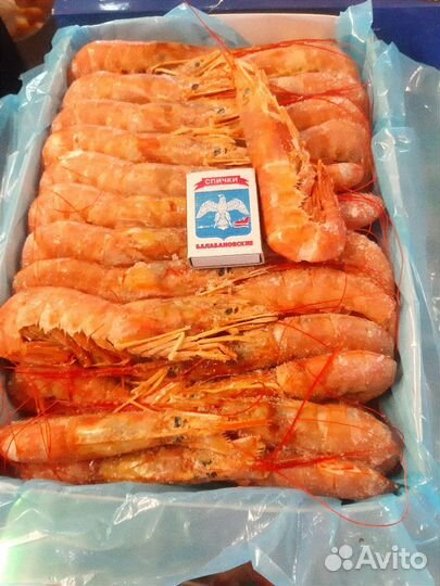 Лангустины L1,C1(крупные)