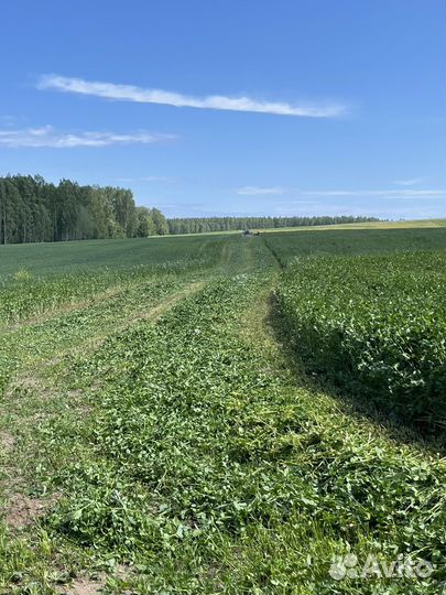 Фермерское хозяйство