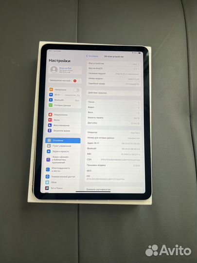 iPad air 5 sim