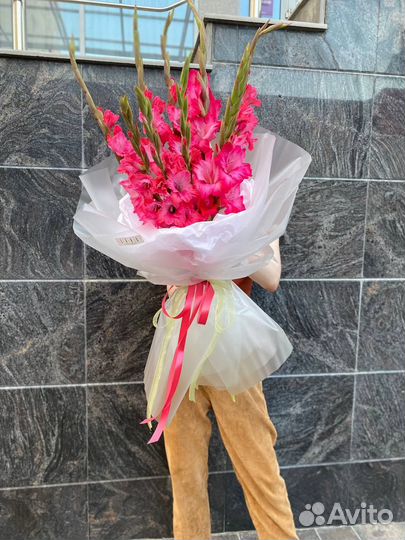 Гладиолусы