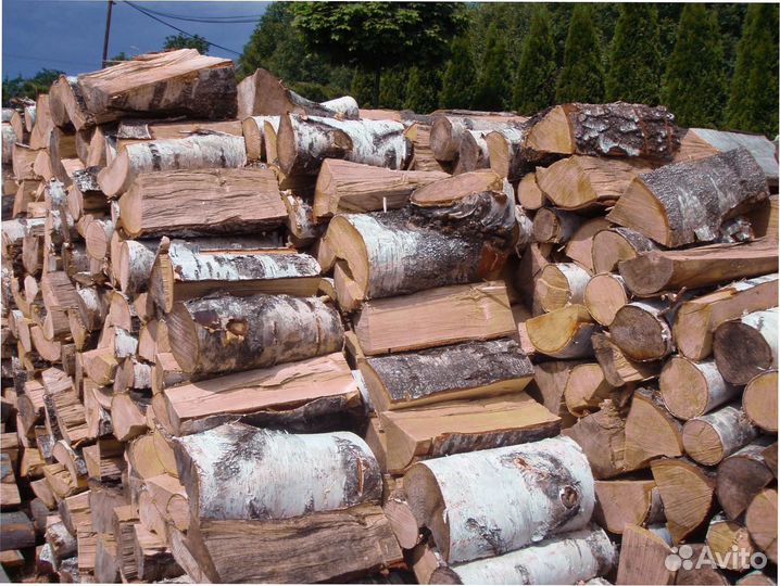 Дрова осиновые