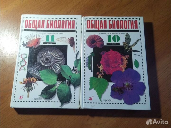 Учебники и рабочие тетради для 1,3,5,6,9,10,11