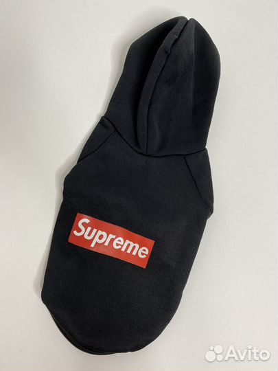 Одежда для собак