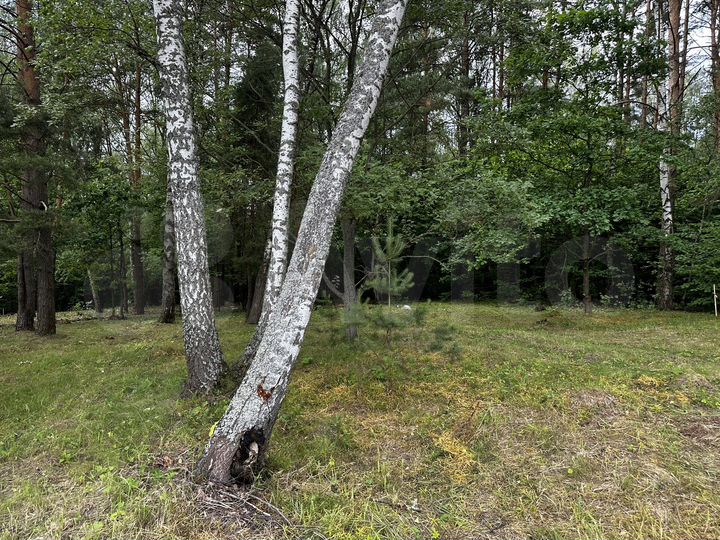 Участок 19 сот. (ИЖС)