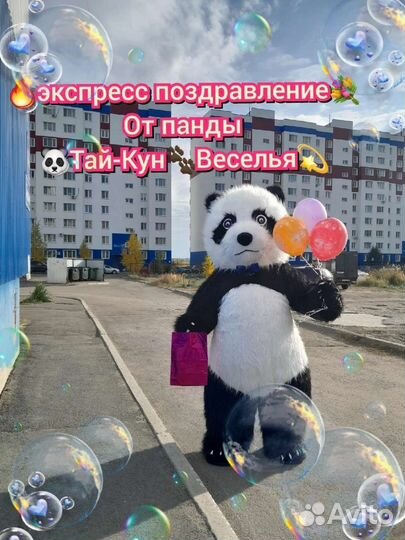 Поздравление в Кургане