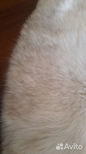 Меховой воротник песец белый
