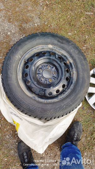 Nexen Winguard WinSpike WH62 215/65 R16 102