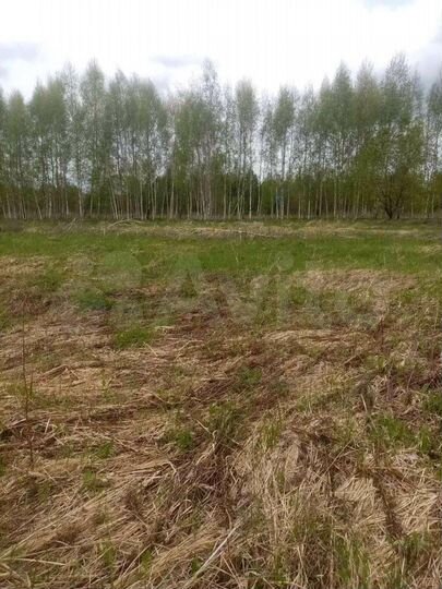 Участок 16 сот. (ИЖС)