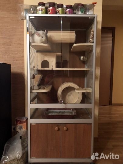 Витрина для шиншилл, дегу