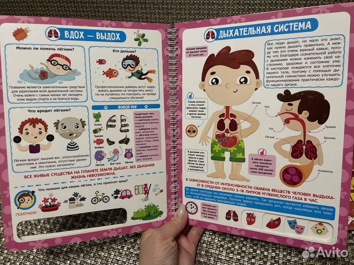 Детские книги Анатомия для детей, Под землей