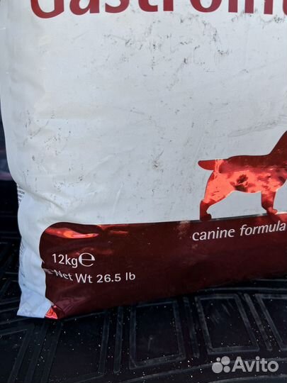Корм для собак