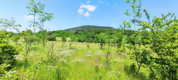 Участок 6,5 сот. (СНТ, ДНП)