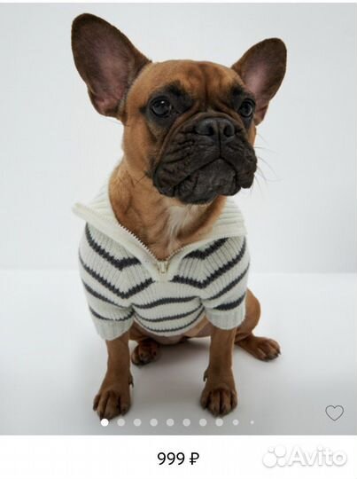 Вязаный свитер для собак
