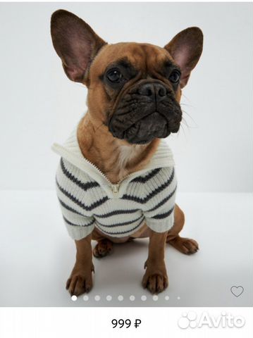Вязаный свитер для собак