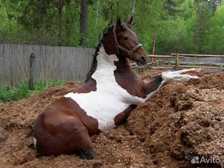 Перегной высший сорт