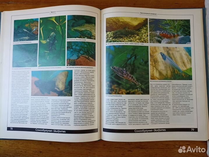 Аквариум и террариум