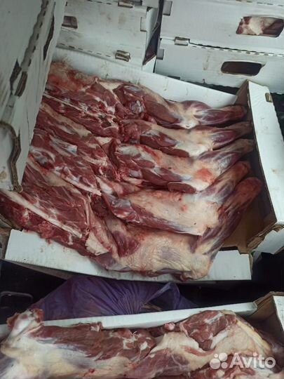 Мясо баранина халяль из Дагестана