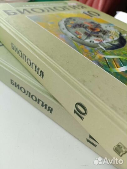 Теремов, Петросова 