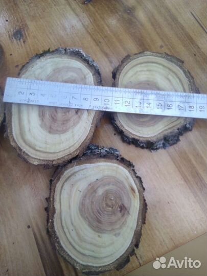 Спил дерева облепиха яблоня слива