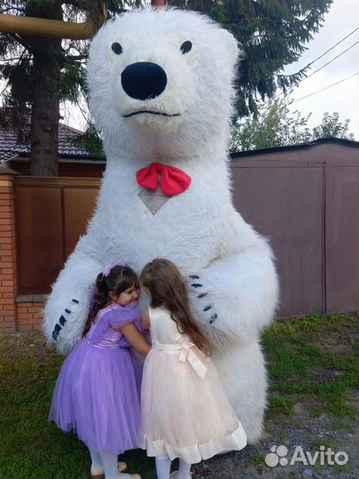 Веселый Утёнок,Чебурашка, Белый медведь и другие