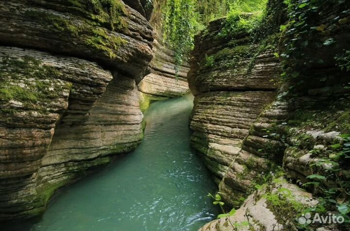 Тур в Сочи и Абхазию на 7 дн все вкл. прож