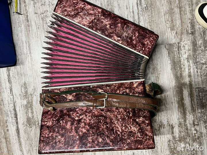 Аккордеон Орион 2